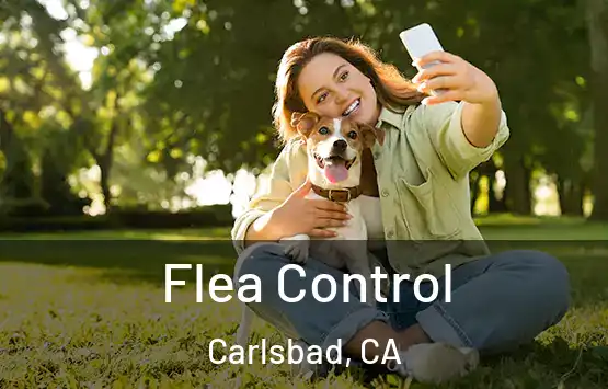  Flea Control Carlsbad, CA