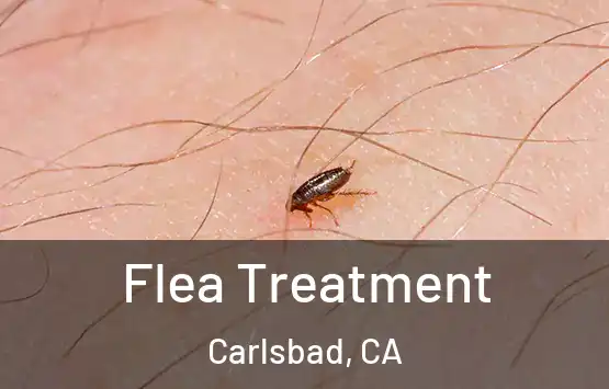  Flea Treatment Carlsbad, CA