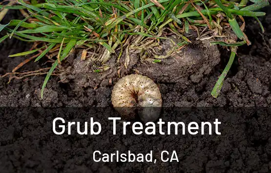  Grub Treatment Carlsbad, CA
