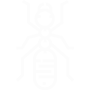 Carpenter Ants Pest Control Carlsbad, CA