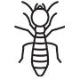 Termites Pest Control Carlsbad, California