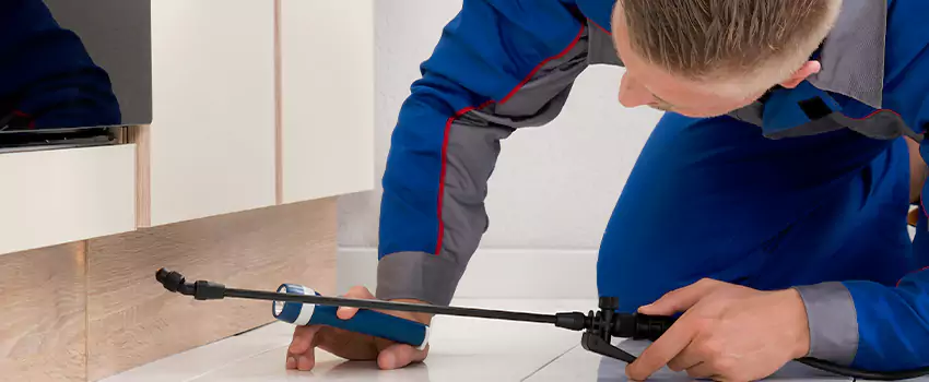 Ant Control for Bedrooms in Carlsbad, CA