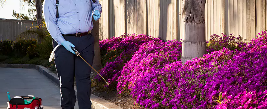 Commercial Mosquito Control Services in Carlsbad, CA
