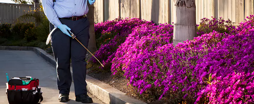 Pest Extermination for Bedrooms in Carlsbad, CA