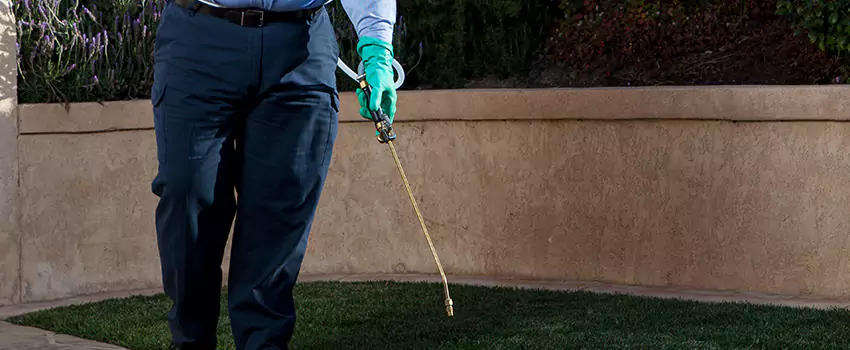 flea-treatment in Carlsbad, CA