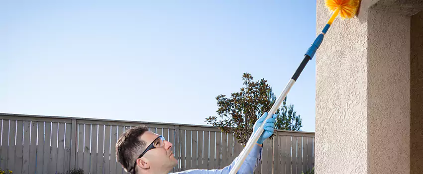 spider-exterminator in Carlsbad, CA
