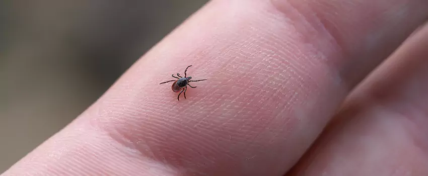 tick-control in Carlsbad, CA