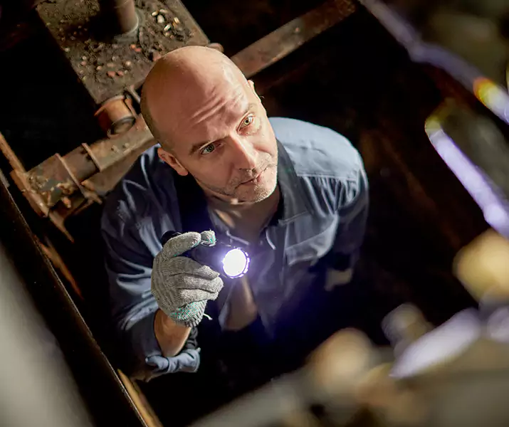 About Rat Inspection Carlsbad